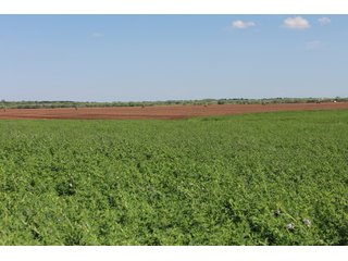 Property photo 52 - LAND AUCTION - 1,371+/- ACRES OFFERED IN 25 TRACTS IN GOLDSBY, OKLAHOMA